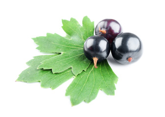 Heap of wild black currant with green leaves isolated on white