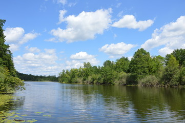 Кусочек лета