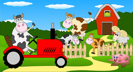 Obraz na płótnie Canvas cow riding on a tractor
