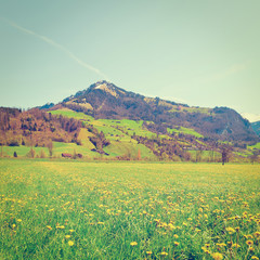 Fototapeta premium Swiss Alps