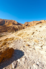 Desert