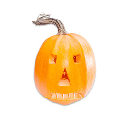 Hollowed-out pumpkin for the making of jack-o'-lanterns