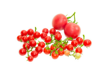 Several branches of cherry tomato and two conventional tomatoes