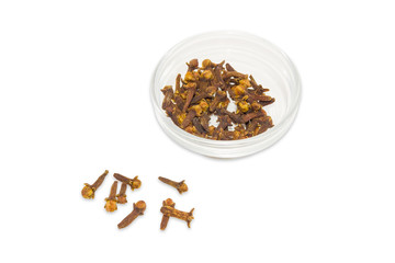 Clove in small glass container and several cloves separately