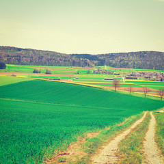 Naklejka premium Fields