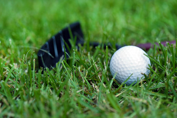 Golf balls and driver on green grass  background