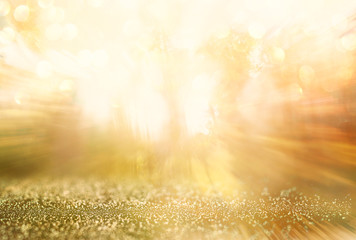 zoom lens and golden light burst among trees. abstract blurred photo
