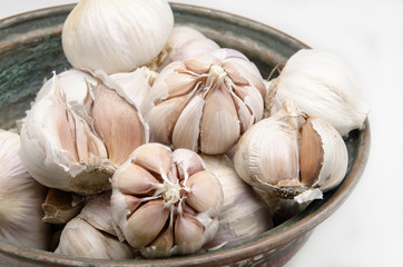 garlic