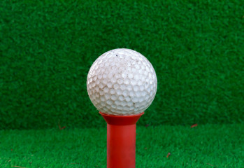 Golf ball,tee on the blur grass  background.