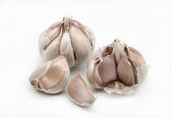 garlic