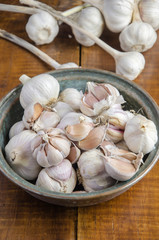 garlic