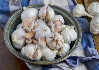 garlic