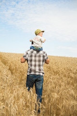 man walking with his kid in the field    © stopabox