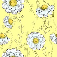background daisies