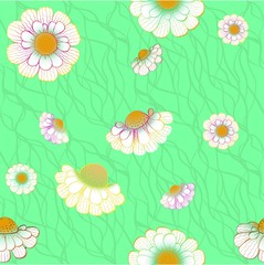 background daisies