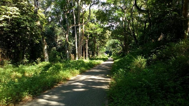 Cuc Phuong National Park In Ninh Binh, Vietna