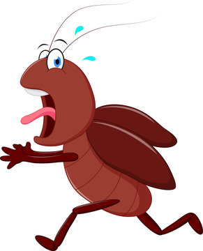 Scary cockroach running cartoon