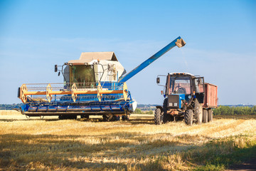 Obraz premium Combine harvester working