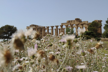 Sicily - Selinunte