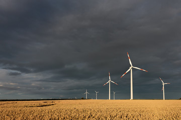 Windräder vor Abendhimmel..