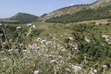 Sicily -temple of segesta