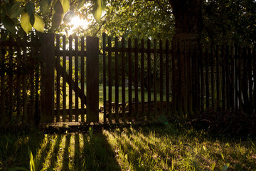 Der Zaun.. | ..The Fence
