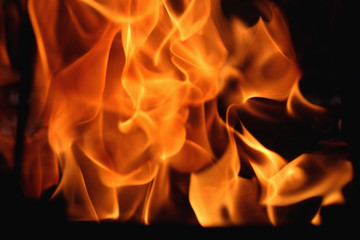 fire wood background