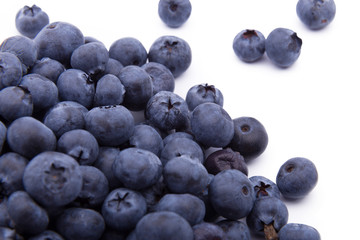 Blueberries on white background