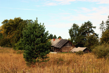 landscape of the village field