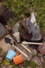 Bansal tree in nature