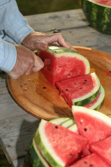 watermelon cutting in nature