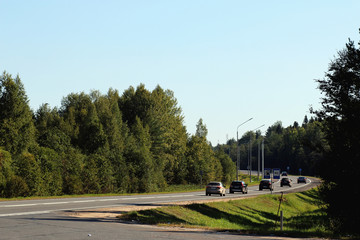 road route marking trees