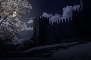 Photo sur Plexiglas Château Medieval castle in a full moon night