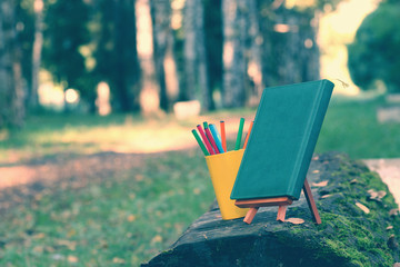 books on a bench in the school year