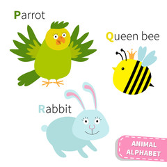 Letter P Q R Parrot Queen bee Rabbit Zoo alphabet. English abc with animals Education cards for kids Isolated White background Flat design