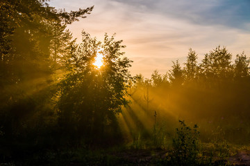 Лучи солнца в туманном закате / The rays of the sun in the foggy sunset