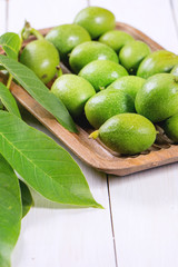 Young green walnuts
