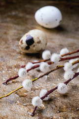 Willow and quail eggs