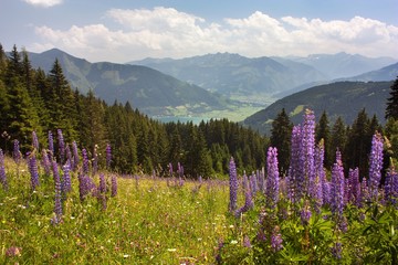 View from Austrian Alps around Zell am See © Daniel Prudek