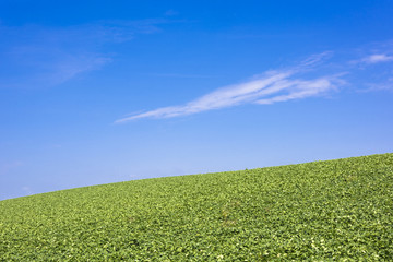 美瑛町のパノラマロード・田園風景