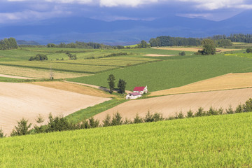 パノラマロードの赤い屋根の家