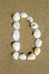 alphabet made using sea shells on seamless sand background