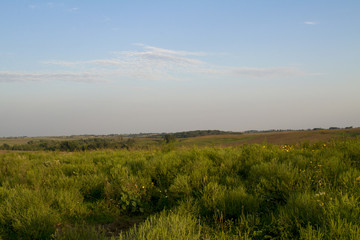 Obraz na płótnie Canvas Prairie Landscape at Neal Smith Wildlife Refuge