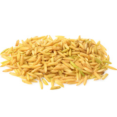 Paddy rice isolated on white background