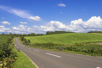 美瑛町のパノラマロード