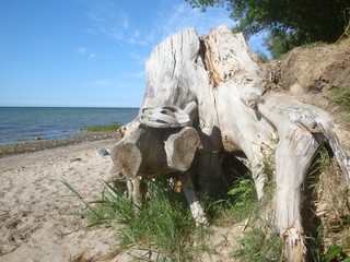 Fototapeta premium Ostsee