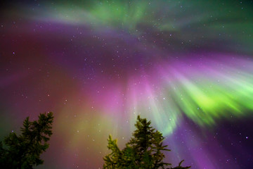 Northern lights (Aurora Borealis)