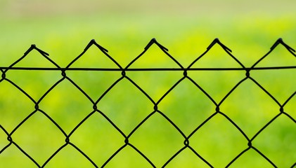 Fototapeta premium Zaun vor grüner Wiese