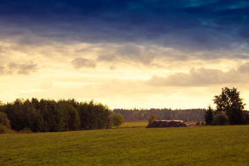 Fototapeta premium Wood pile on the meadow. Summer landscape - Masuria, Poland.