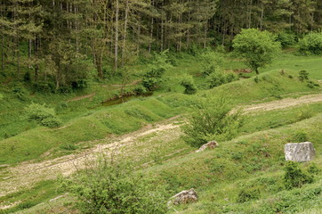 Meadow field and small river in Zavet town, Bulgaria